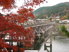 晩秋の渡月橋