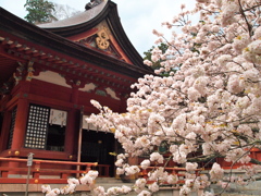 志波彦神社の御所匂