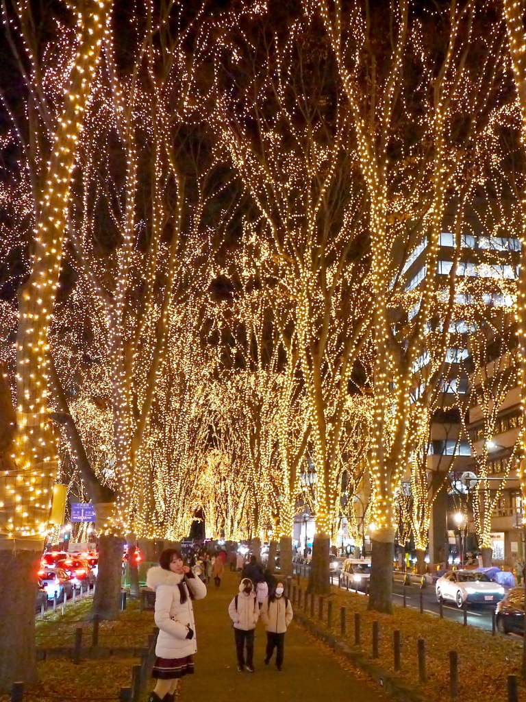 SENDAI光のページェント2025Ⅶ