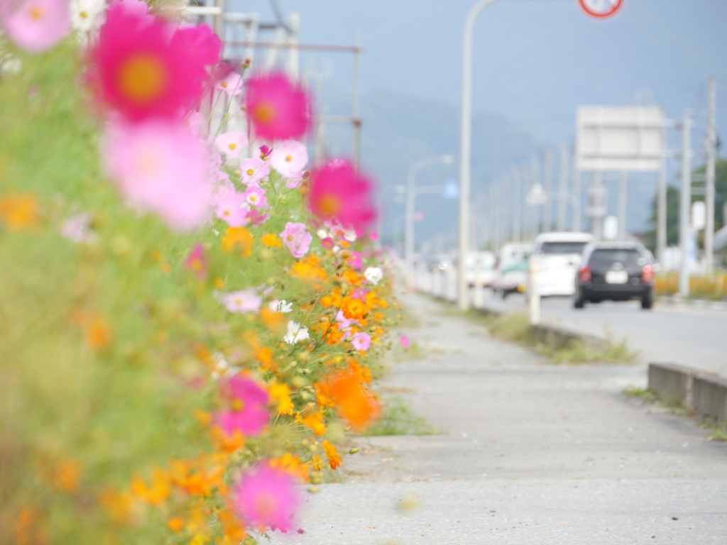 9月の風