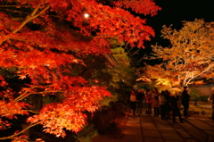 円通院2014Ⅵ