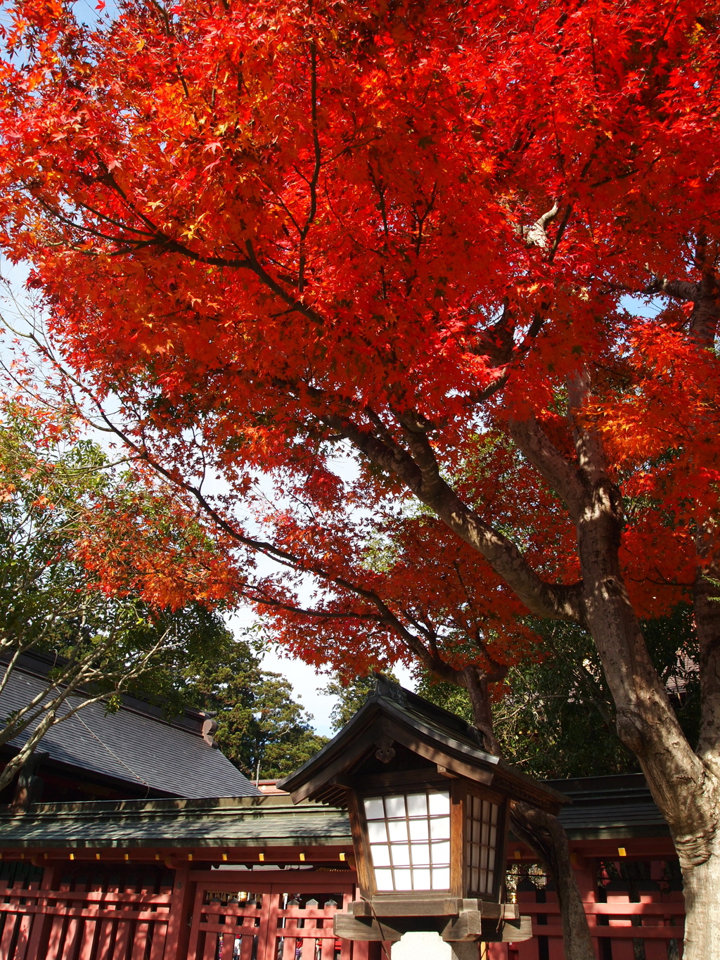 鹽竈神社の秋2015Ⅱ