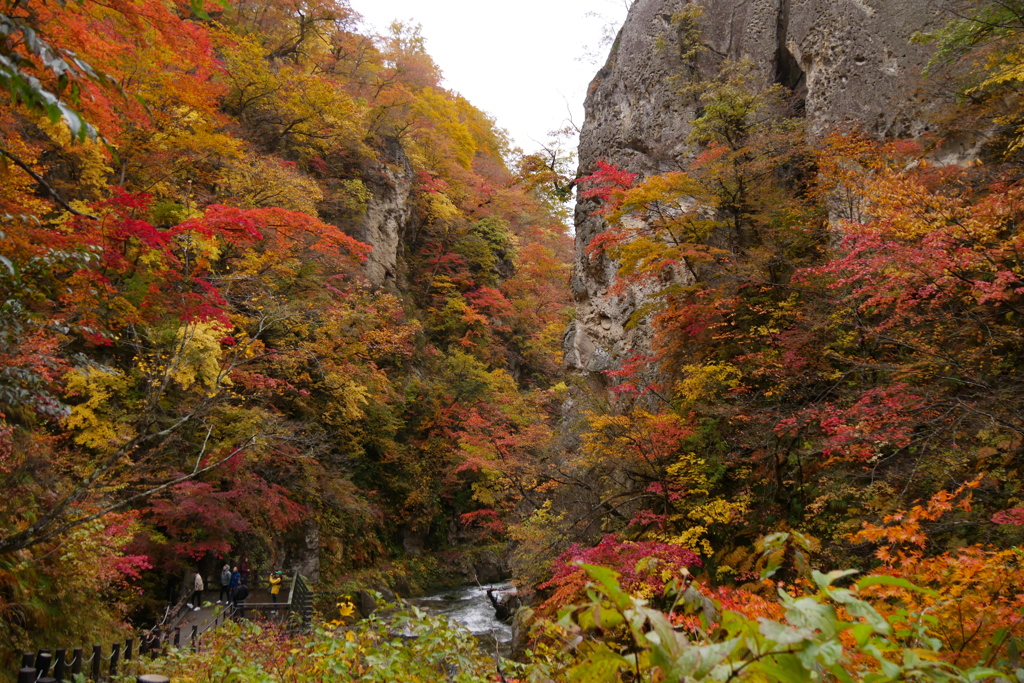 鳴子峡2025Ⅶ