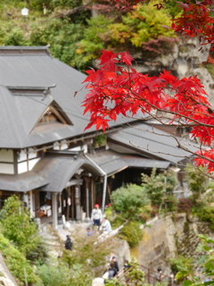 秋の山寺2020Ⅲ