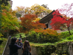 秋の山寺2022Ⅴ