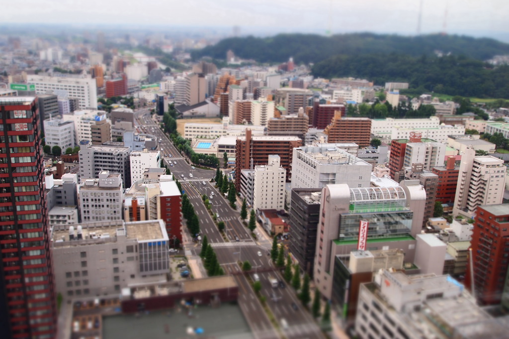 Sendai Diorama Park