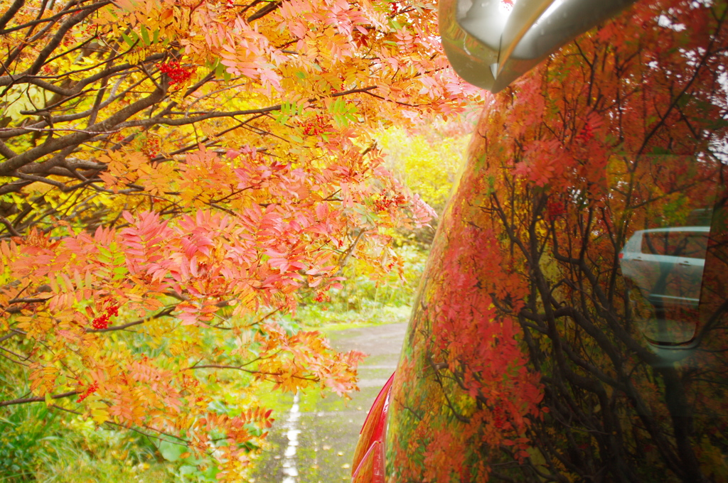 秋の栗駒山荘2018Ⅳ