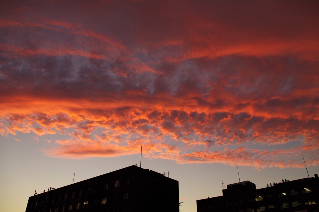 昨日の夕景