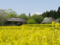 行楽日和2025Ⅶ