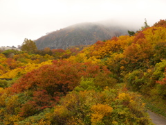 雨の須川温泉