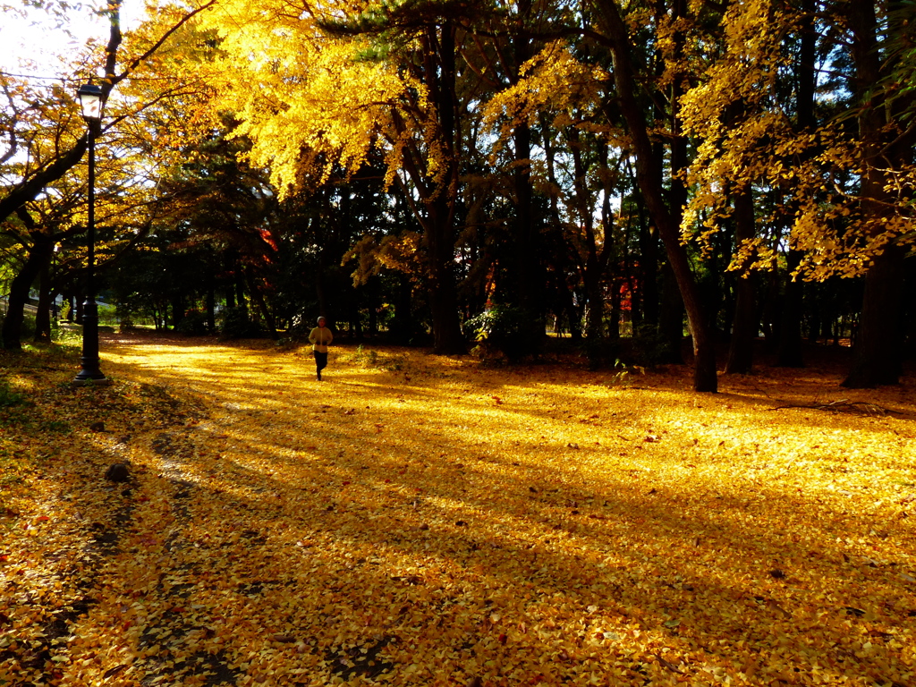 Yellow Runner