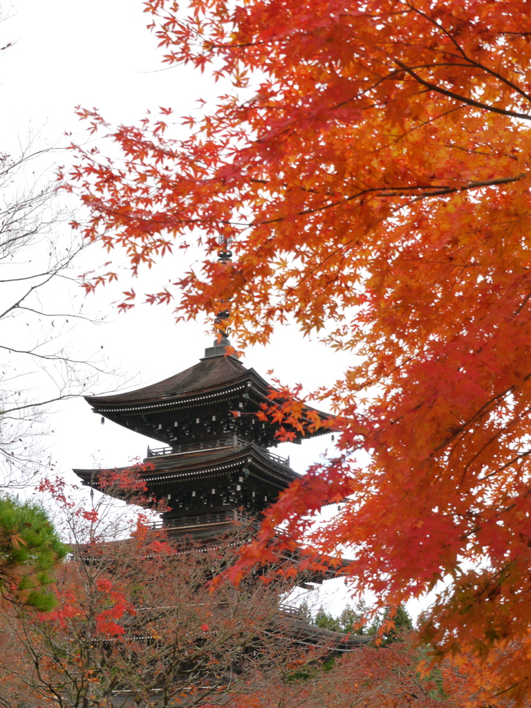 晩秋の西方寺五重塔Ⅱ