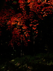 鹽竈神社秋景Ⅲ