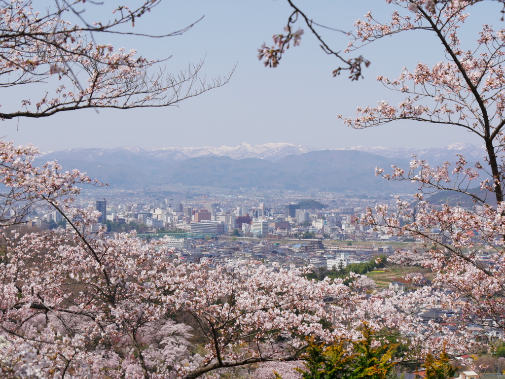 花見山公園2022Ⅵ