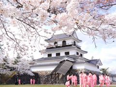 白石城の桜Ⅳ