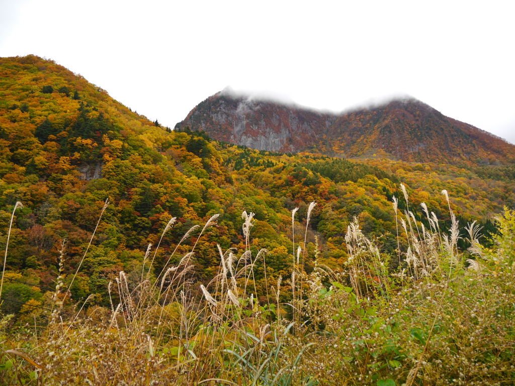 秋の黒伏山