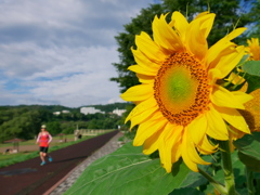 夏本番！