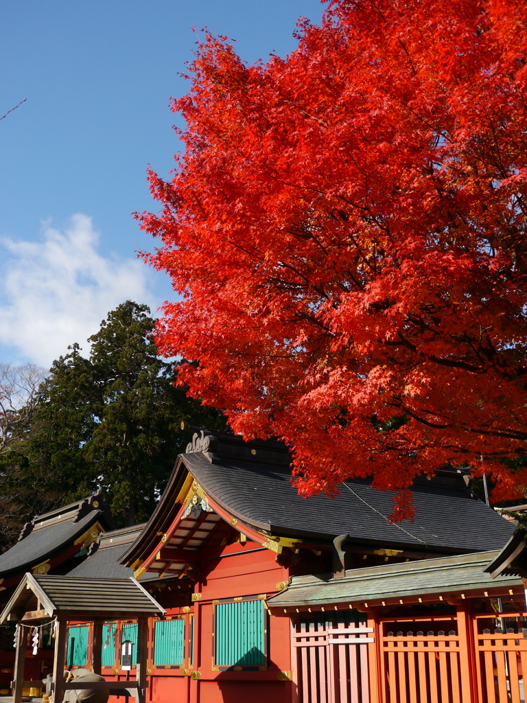 秋の鹽竈神社Ⅲ