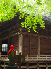 中尊寺のもみじ(2)