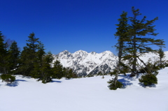 木立の合間から穂高連峰