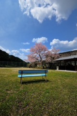青空と桜とベンチと私