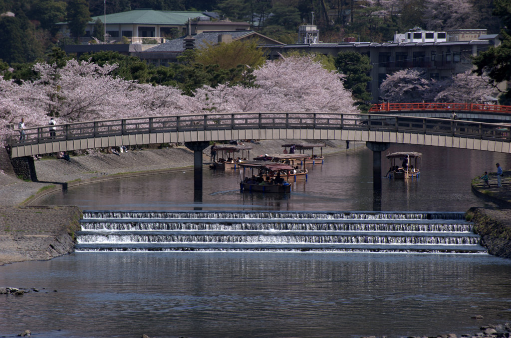 京都　宇治川にて