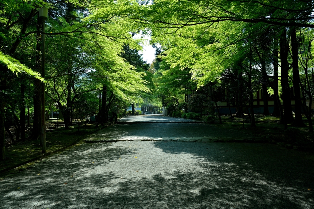 新緑の空気