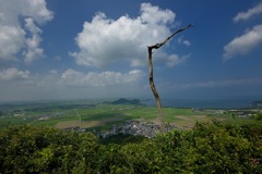 八幡山からの景色