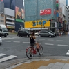 夏が来る前に