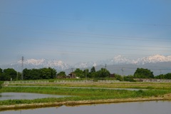 立山連峰を望む