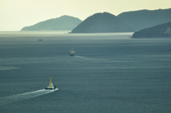 海