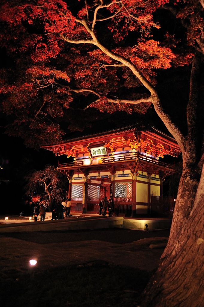 夜景