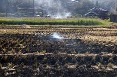 野焼き