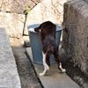 二日酔い