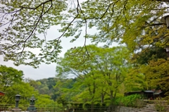 秋には主役