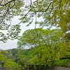 秋には主役