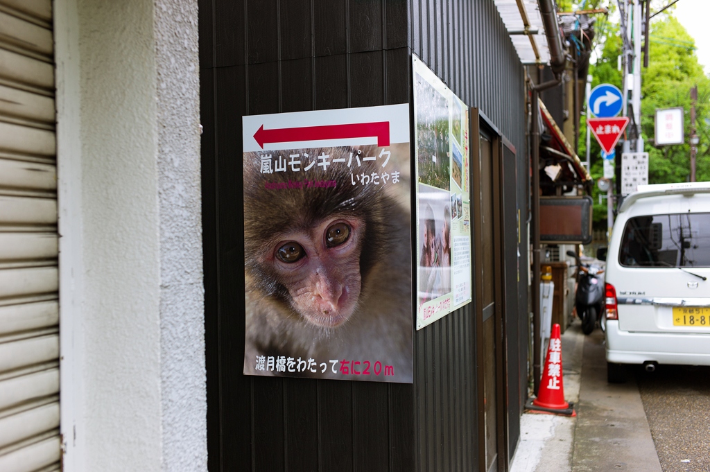素敵な瞳