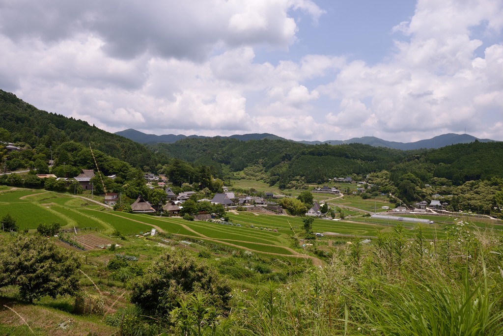 棚田へ