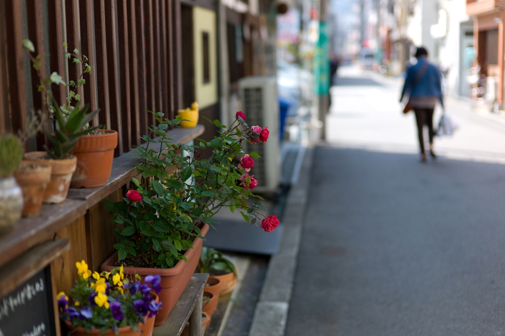 君は薔薇よりむずかしい