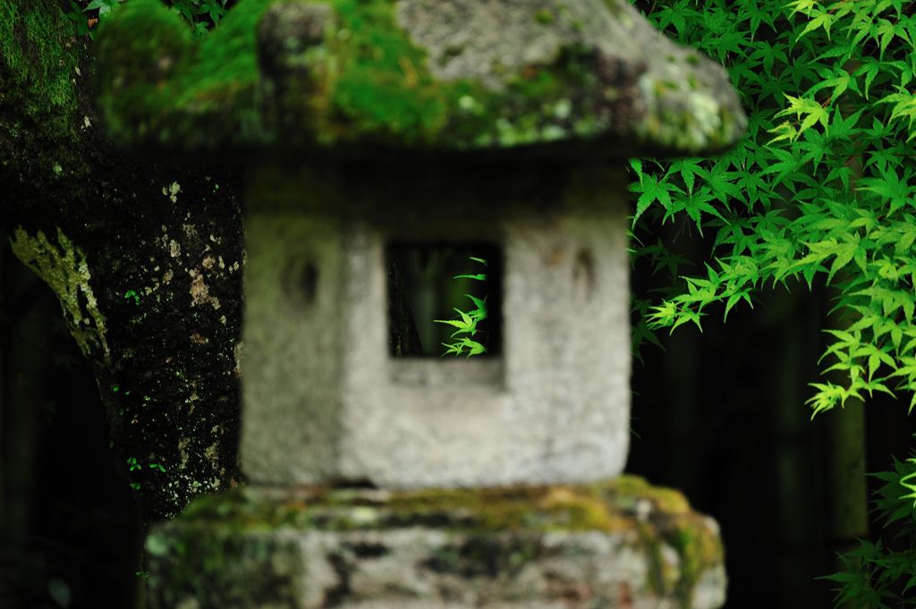 静かな庭園