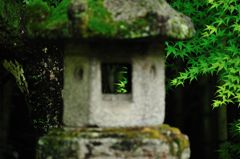 静かな庭園