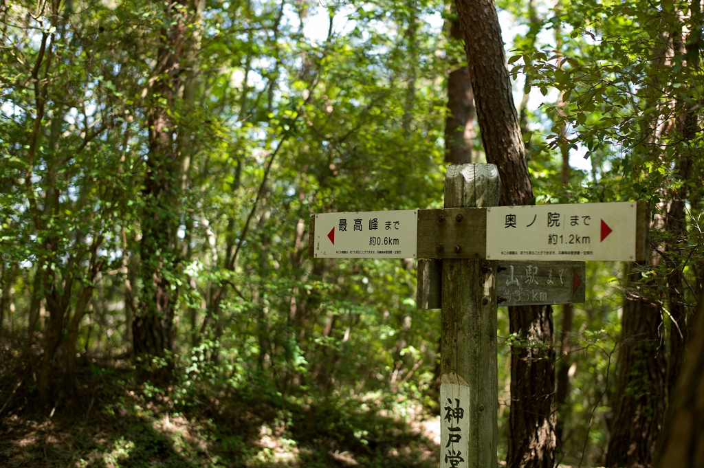 山登り