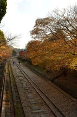 京都蹴上げの秋