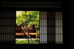 建仁寺にて