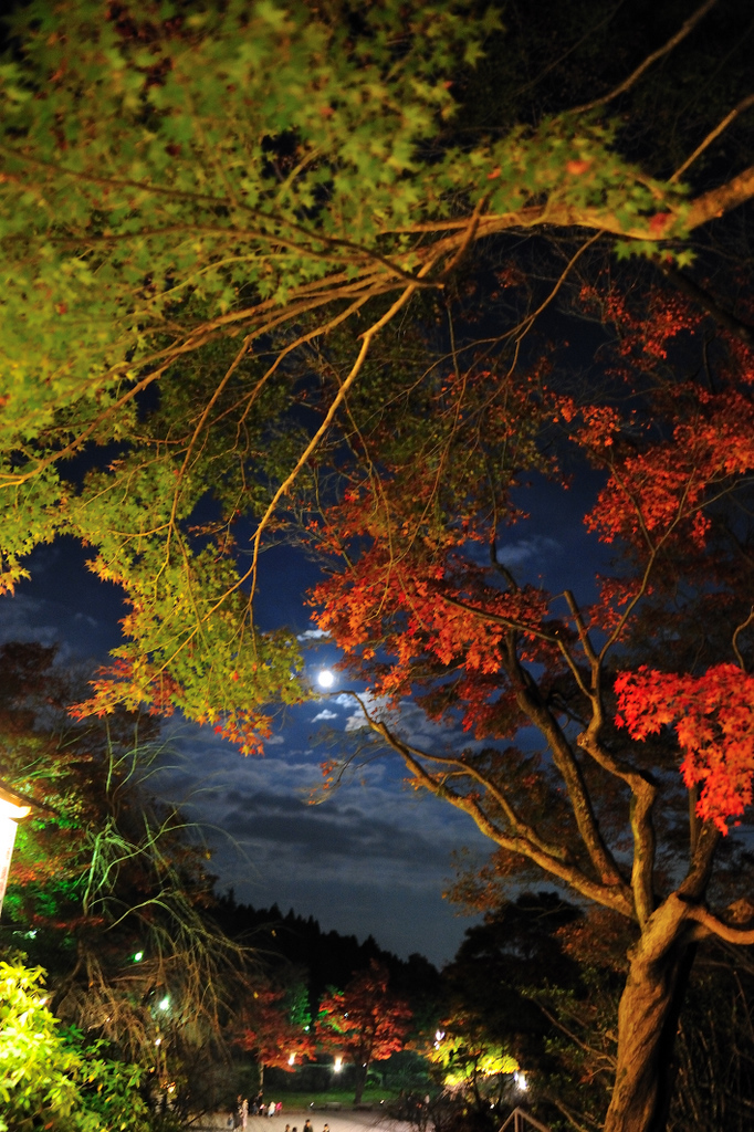 夜景