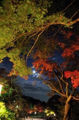 夜景