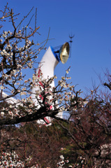 梅と太陽の塔と青空