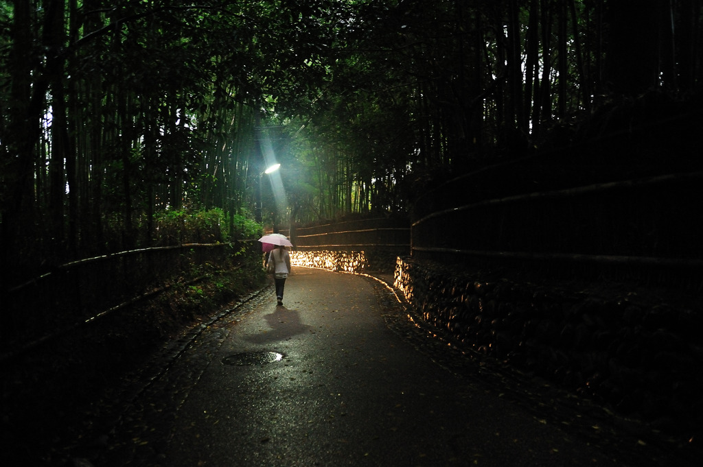 雨の京都嵯峨野