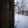 見てるよ