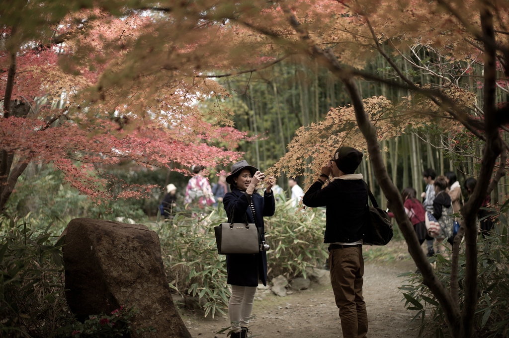 京都旅の思い出